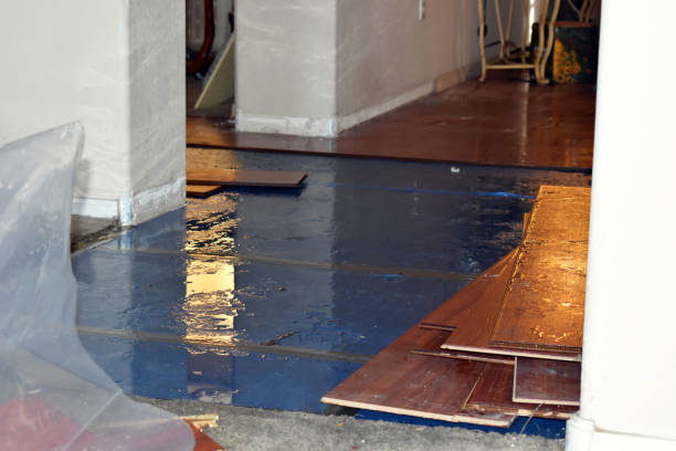 Professional Structural Drying And Dehumidification technician working in Deanville, TX
